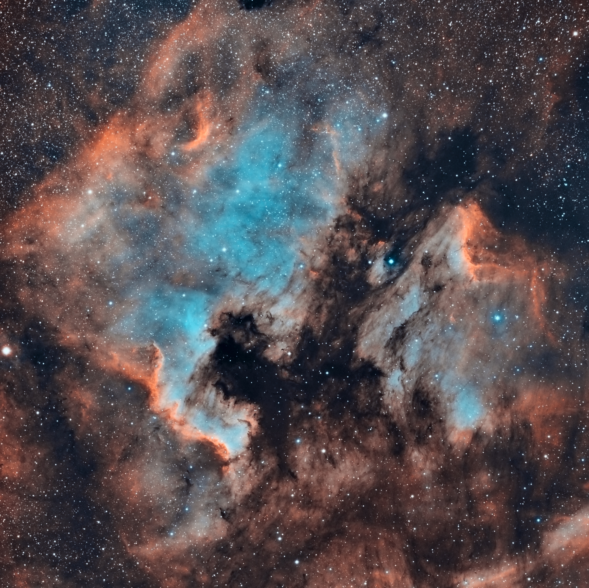 NGC7000  - Nébuleuse de l'Amérique du Nord 10/07/2013 par André